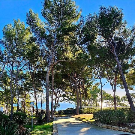 Superbe Appartement Dans Cadre D'Exception - Piscine, Plage Et Tennis Prive Bandol Extérieur photo