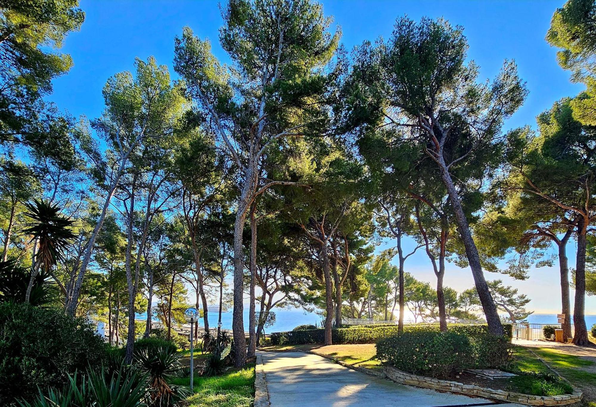 Superbe Appartement Dans Cadre D'Exception - Piscine, Plage Et Tennis Prive Bandol Extérieur photo